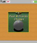 Pool Billiards Champs