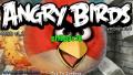 Angry Birds por Novchik