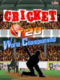 क्रिकेट टी 20