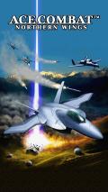 Ace Combat: Northern Wings