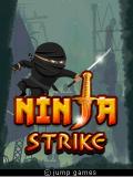 Ninja-Schlag