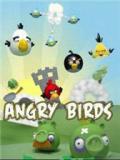 Angry Birds édition d'hiver