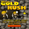 Micro Gold Rush