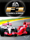 F1 Chalenge
