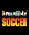 Sensible Fußball (176x220)