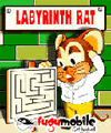 Лабиринтная крыса (240x320)
