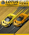 Coches Lotus Slot Cars (176x220)