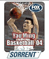 Yao Ming Basketball