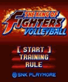 El voleibol de King Of Fighters (176x220) (japonés)