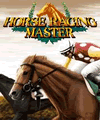 Mestre de corridas de cavalos (176x220)