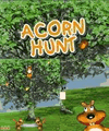 Acorn Hunt（240x320）S40