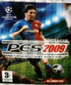 PES 2009 (176x208) (Nhiều người chơi)