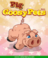 Goosy Pets Pig