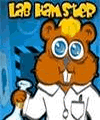 Lab Hamster (Đa màn hình)