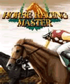 At Yarışı Masterı (176x220) (128x160)