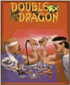 Double Dragon EX