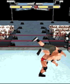 WWE Smackdown gegen RAW 2008 3D (176x208)