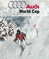 Audi World Cup