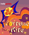Fortune Kite