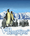 V-ペンギン