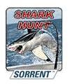 शार्क हंट (176x208)