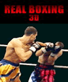 Реальний боксерський 3D (176x220)