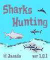 Sharks Hunting