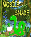 Змія (132x176)
