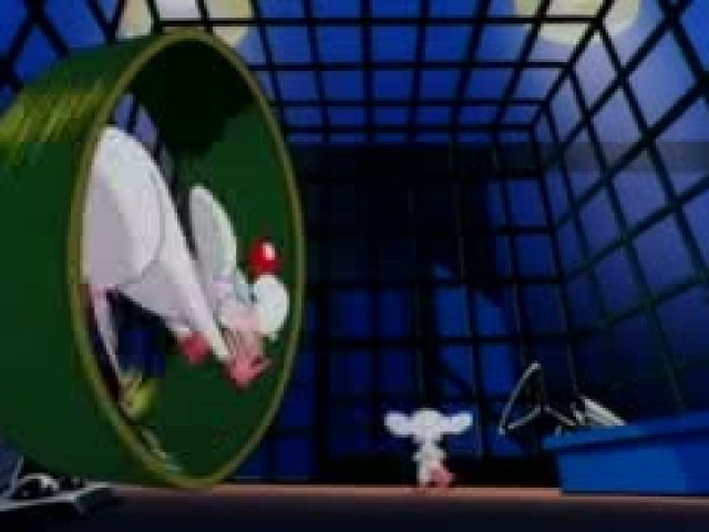 Pinky And The Brain S01E01