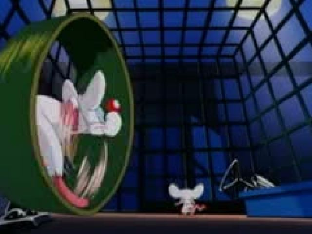 Pinky And The Brain S01E02