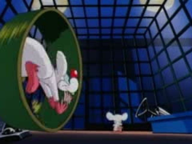 Pinky And The Brain S01E10