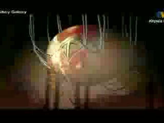 BoBoiBoy Galaxy Episod 3