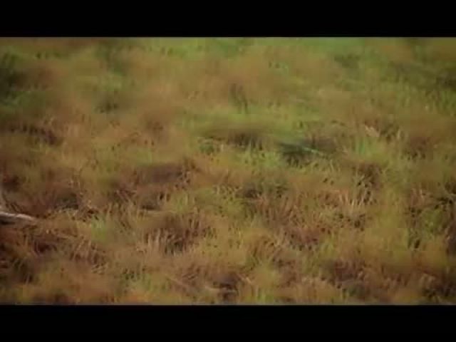 Salma - Seruan Jiwa (Official Music Video)
