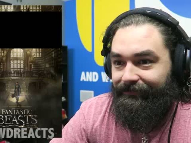 Reaction Based on Fantastic Beasts and Where to Find Them Official Trailer