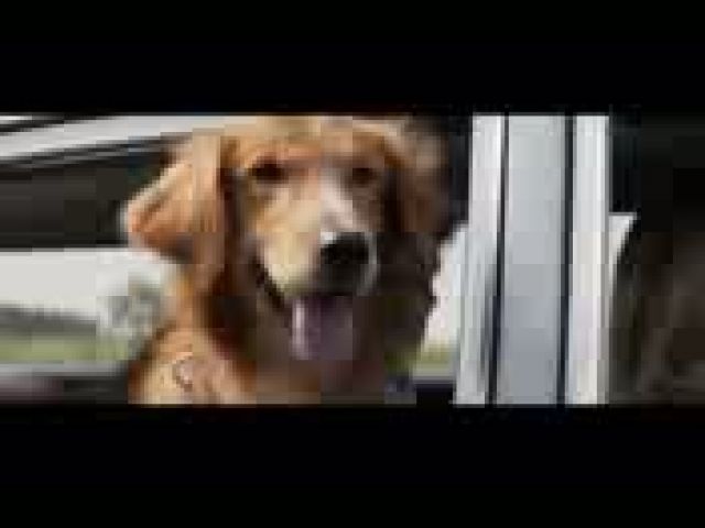 A Dog's Purpose Movie Trailer