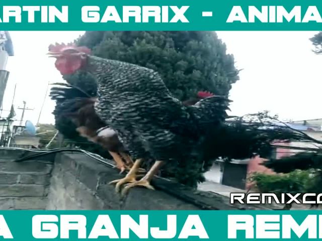 Best Martin Garrix Remix