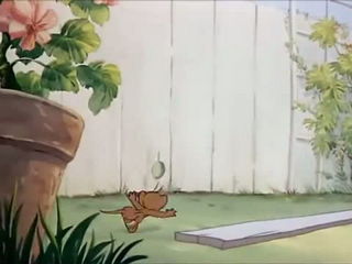 Tom and Jerry