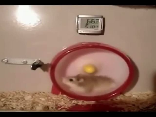 Turbo powered mouse