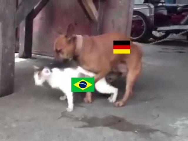 Brazil vs Germany World Cup 2014 Reaction. Germany 7 Brazil 1