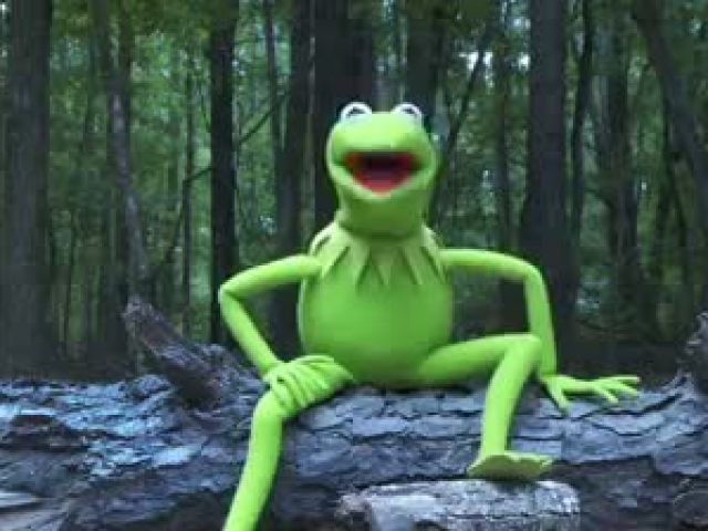 Kermit the Frog Ice Bucket Challenge Very Funny