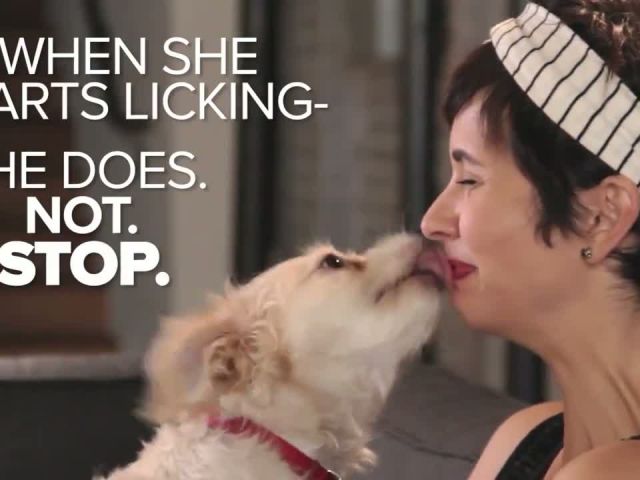 Puppy Licking People's Faces Is The Happiest Thing You'll See Today