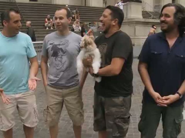 Impractical Jokers - Humiliating Puppy Love