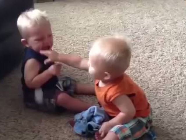 Two Babies Fight Over A Pacifier