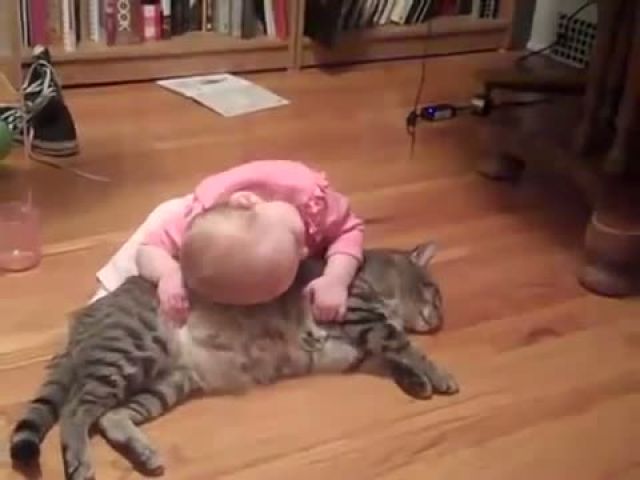 Playing with cat