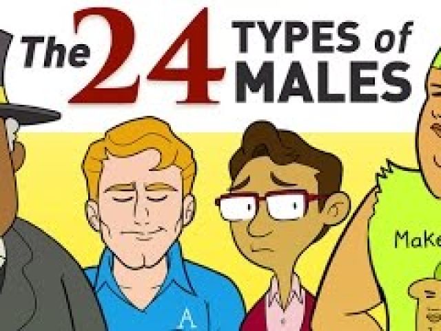 All 24 Types Of Males Explained