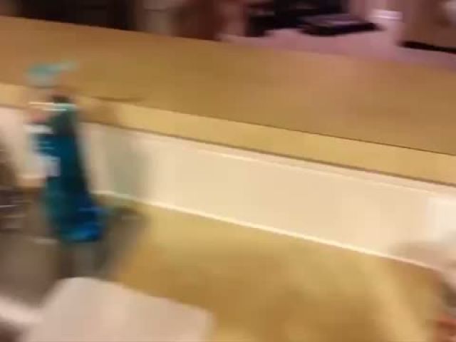 Funny Cats Drinking From Water Taps