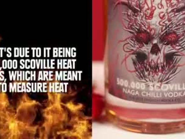 People Try The World's Hottest Vodka