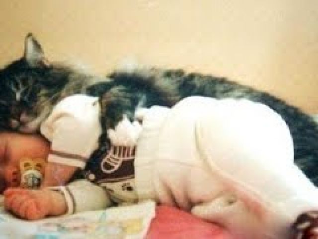 Cats and babies cuddling – Cute cat and baby compilation