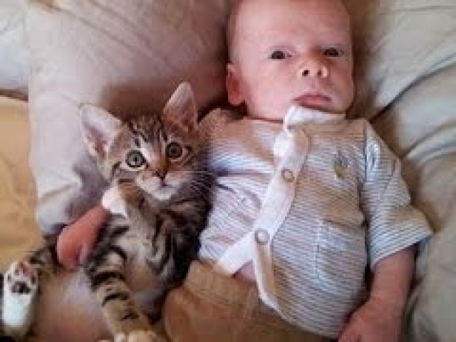 Cats and babies are best friends – Cute baby & cat compilation