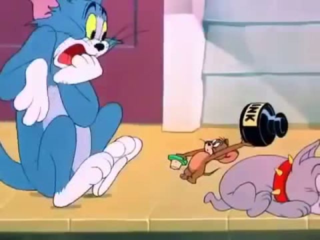 Tom And Jerry Cartoon Video - PHONEKY